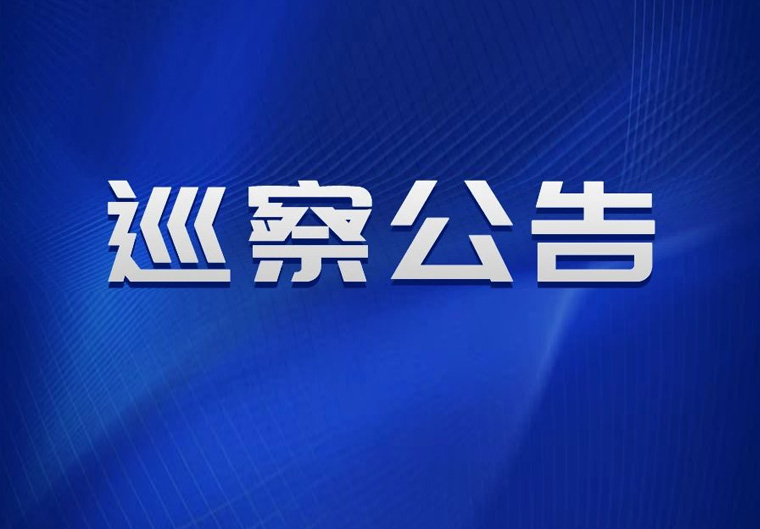 巡察公告