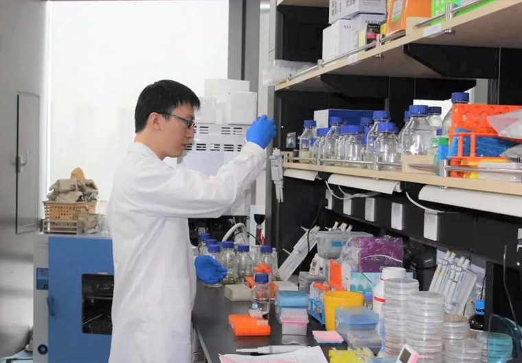 【投保联动 赋能实体】高新投投资森瑞斯 积极布局合成生物学领域