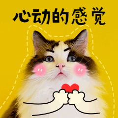 图片22.png