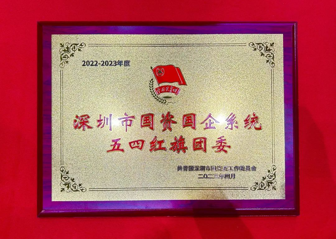 【高新投学堂·党建】点亮青春光谱！深高新投团委获评“五四红旗团委”