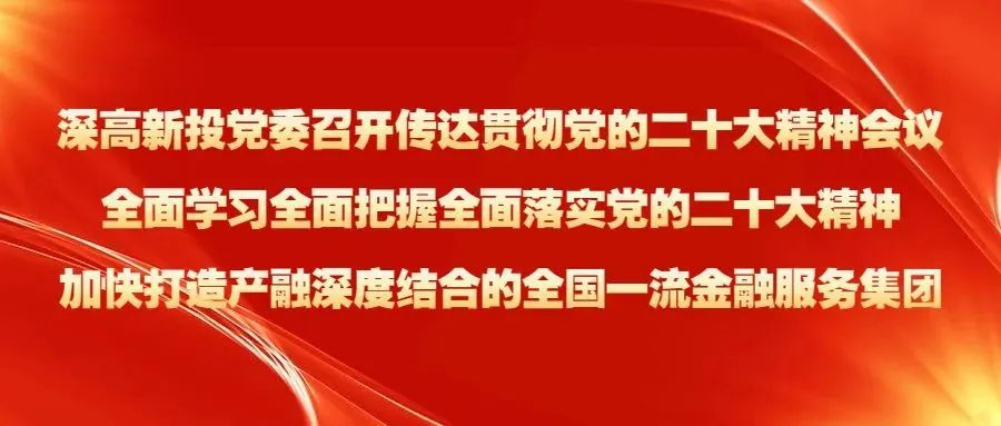 深高新投集团党委召开传达贯彻党的二十大精神会议