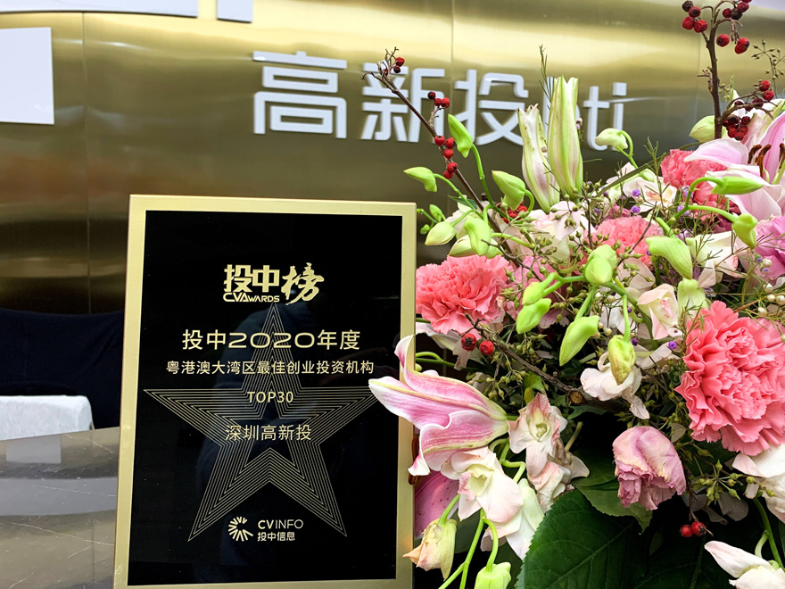投中榜 粤港澳大湾区最佳投资机构top30