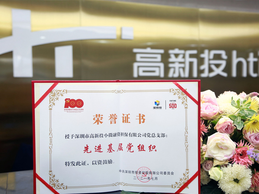 小微融资先进基层党组织
