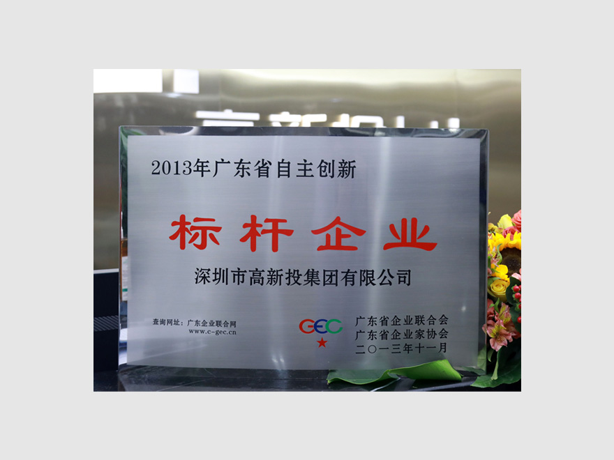 2013广东省自主创新标杆企业