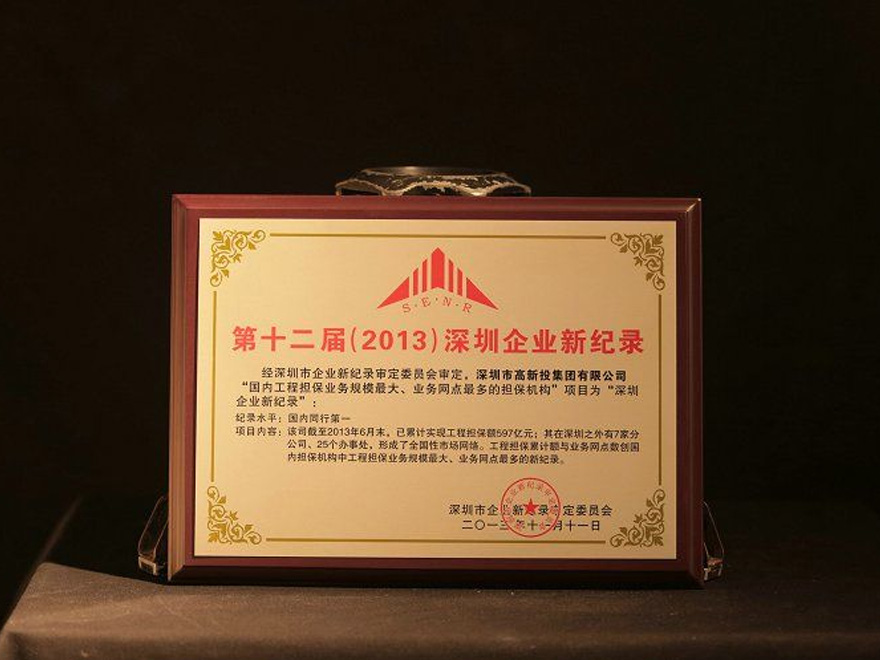 2013 第十二届（2013）深圳企业新纪录