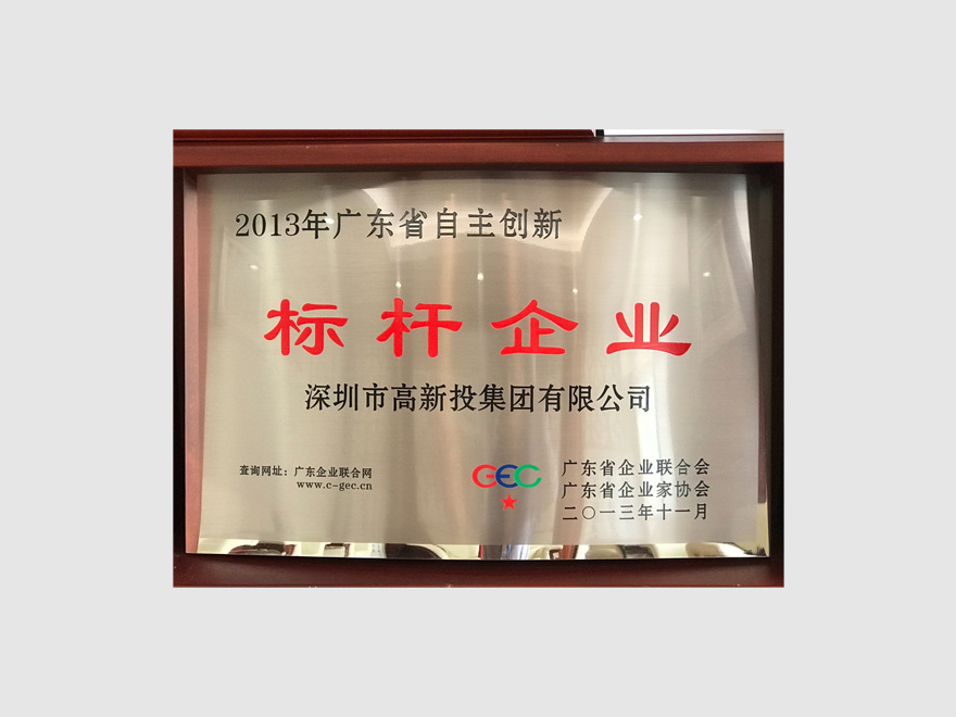2013年标杆企业
