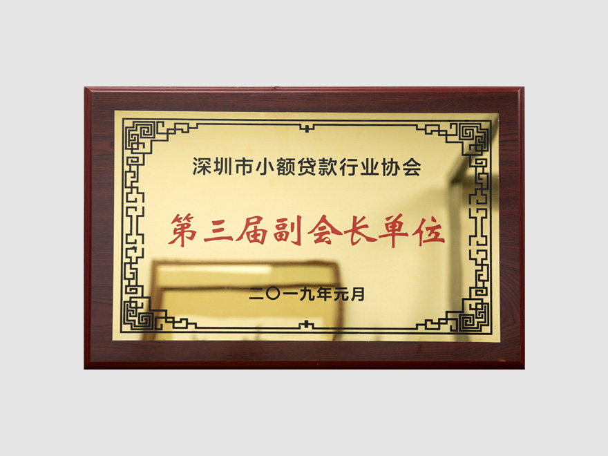 深圳市小贷协会副会长单位