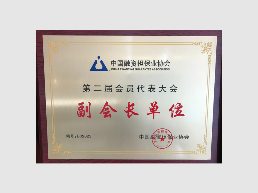 中国融资担保业协会副会长单位
