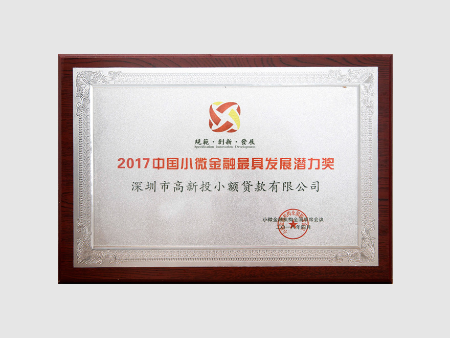 2017年中国小微金融机构最具发展潜力奖