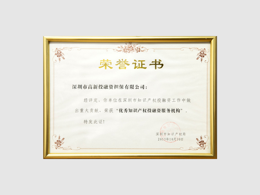 融资公司2015荣获深圳知识产权局颁发“优秀知识产权投融资服务机构”（选）