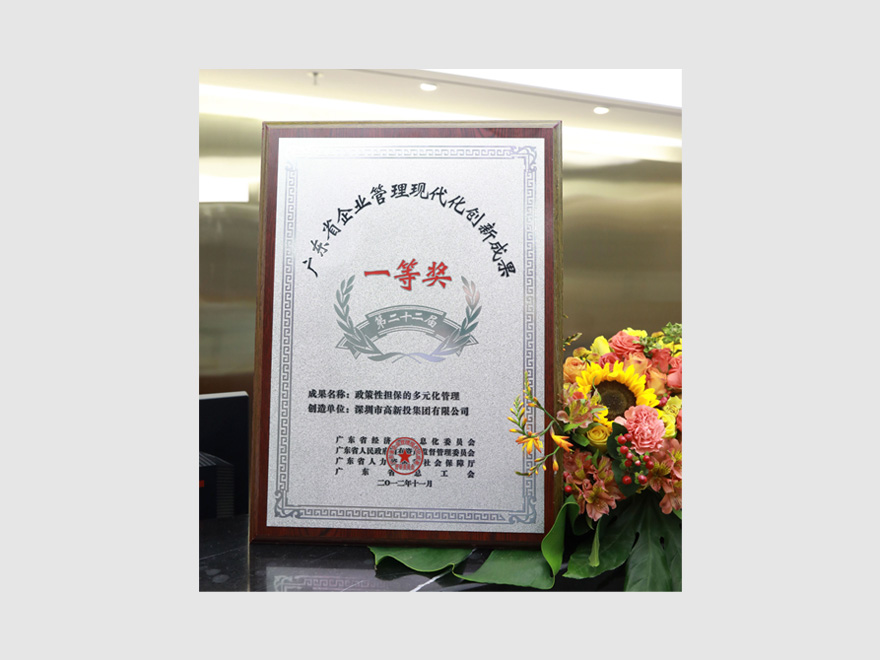 广东省企业创新一等奖