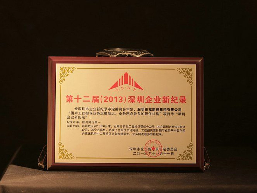 第十二届（2013）深圳企业新纪录