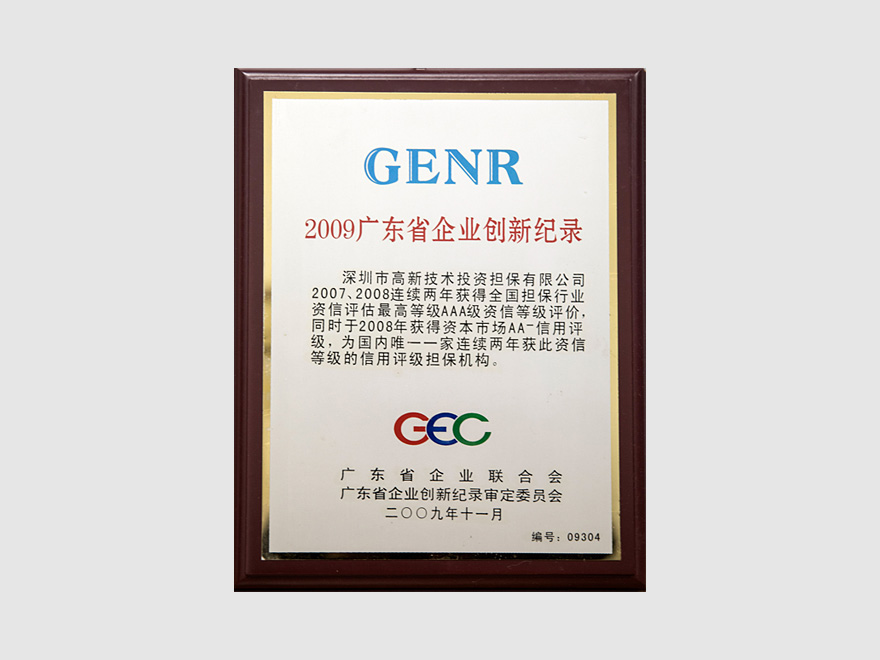 荣获两项由广东省企业联合会、广东省企业家协会评定的“2009广东企业创新纪录”奖(2)