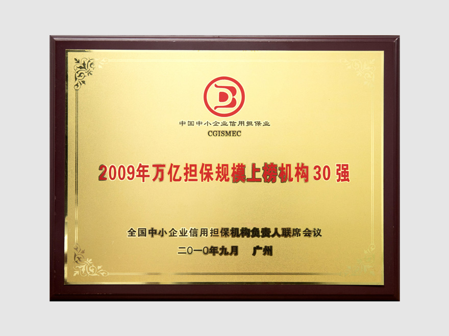 2010 在第十一届全国中小企业信用担保机构负责人联席会议上，高新投荣获 “2009年万亿担保规模上榜机构30强”