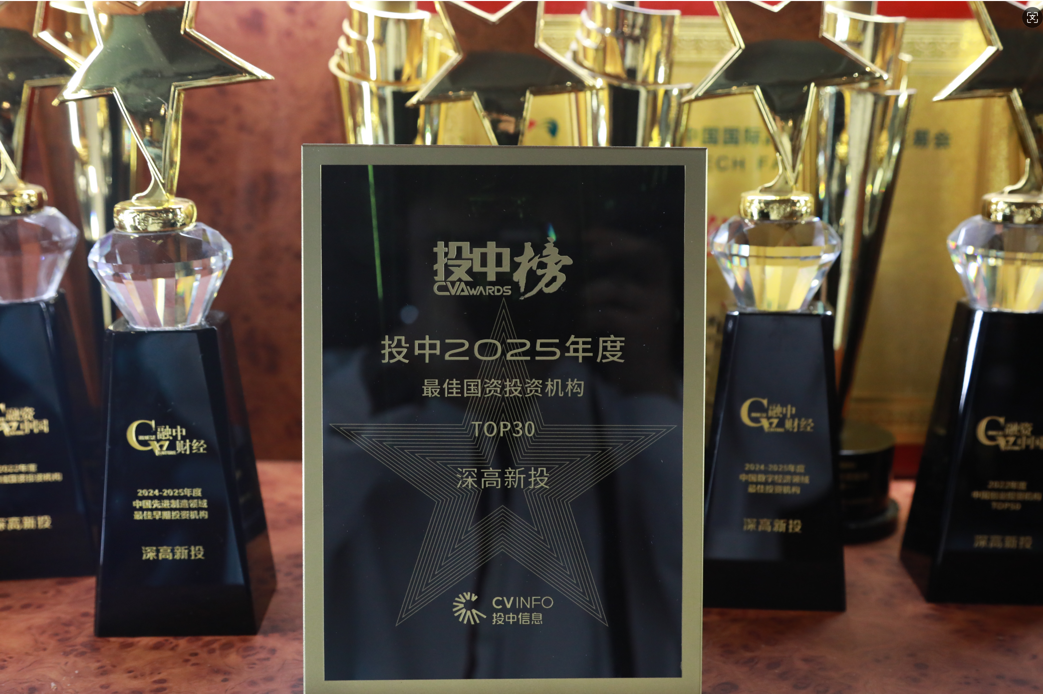 投中2025年度“最佳国资投资机构”TOP30