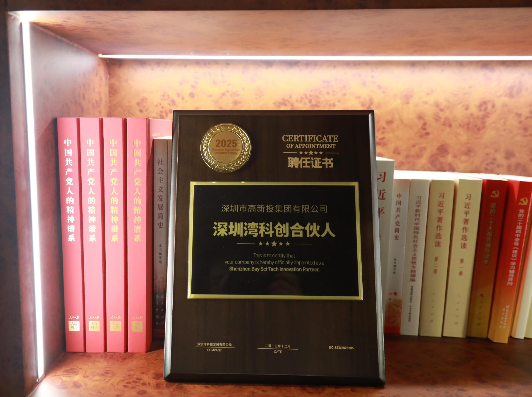 深圳湾科创合伙人