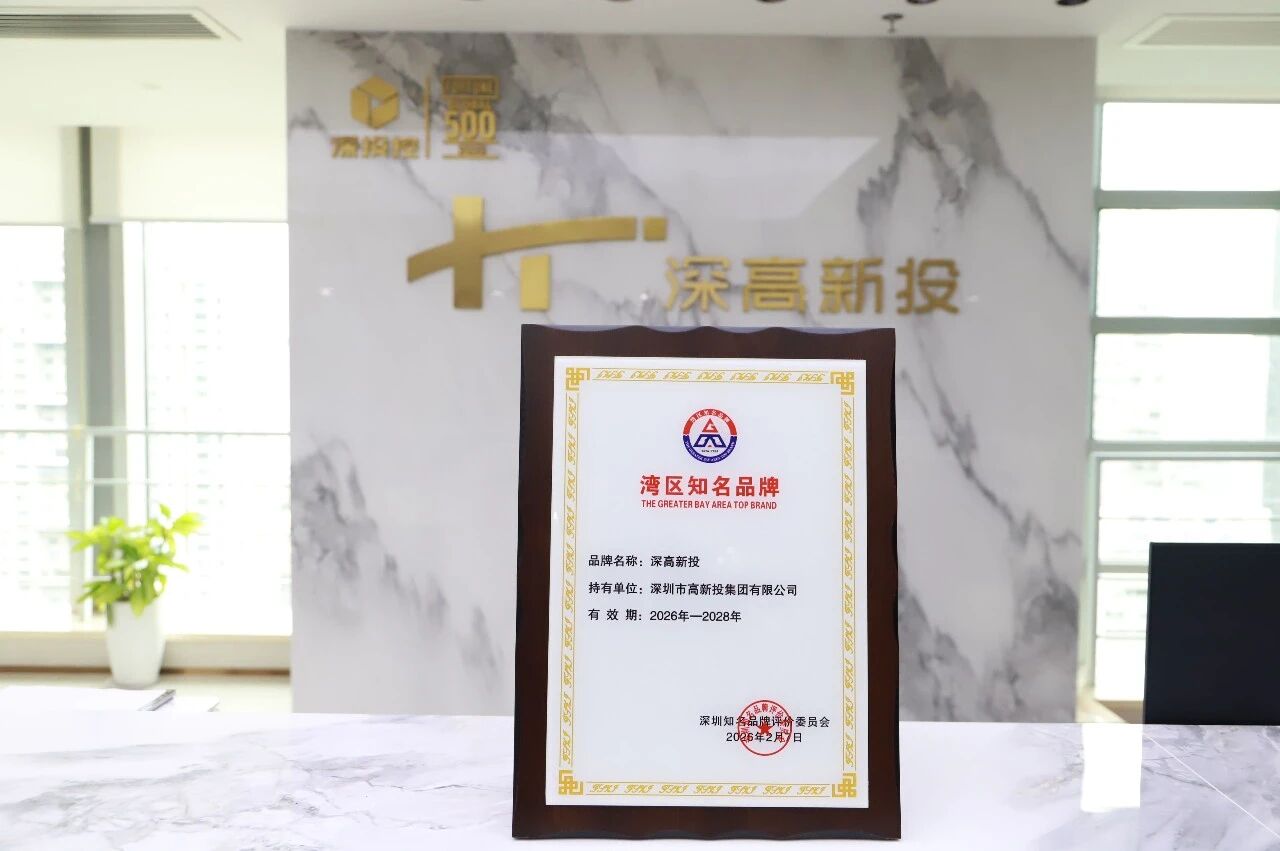 喜讯！深高新投首获“湾区知名品牌”称号